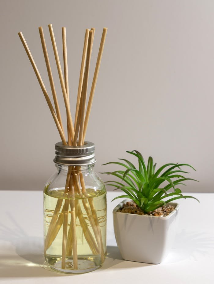 Elegant reed diffuser with houseplant in modern minimalist setting. Ideal for home fragrance concepts.