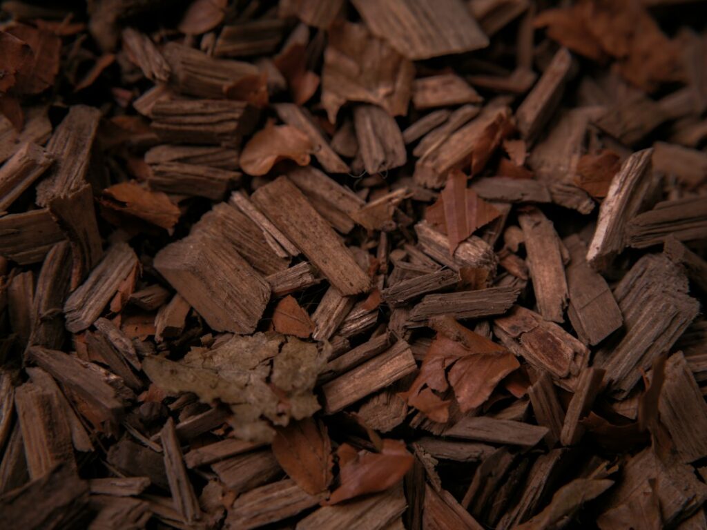 Dark agarwood chips, the source of natural oud